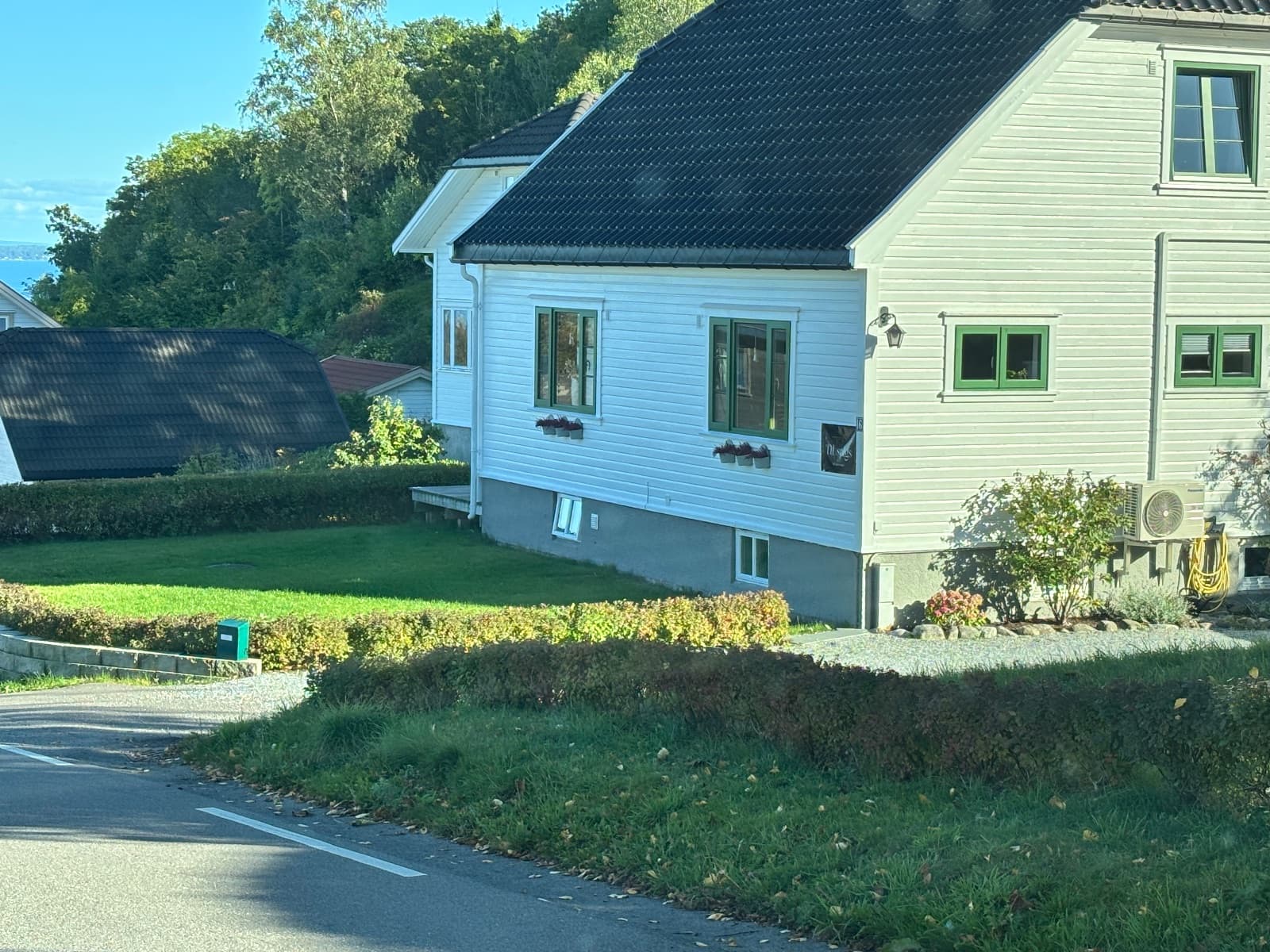 Masse fine leke - er gratis — bilde 5
