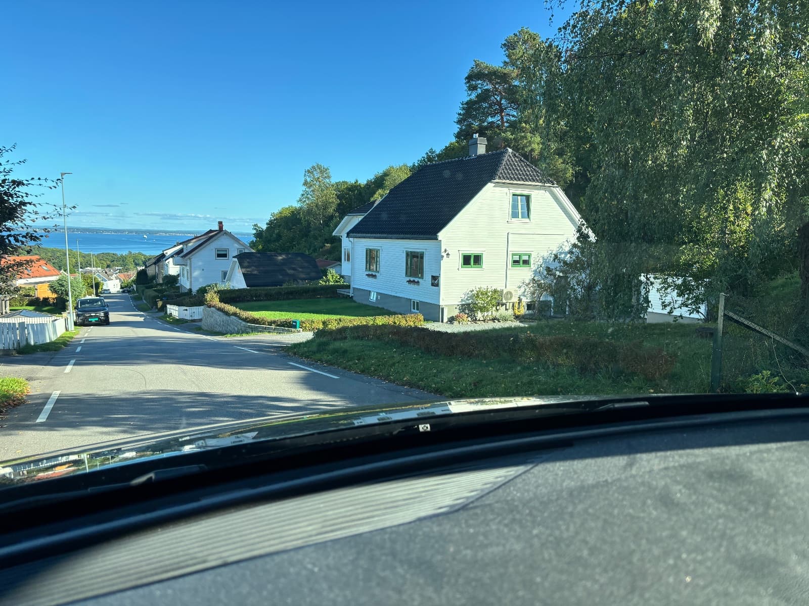 Masse fine leke - er gratis — bilde 2